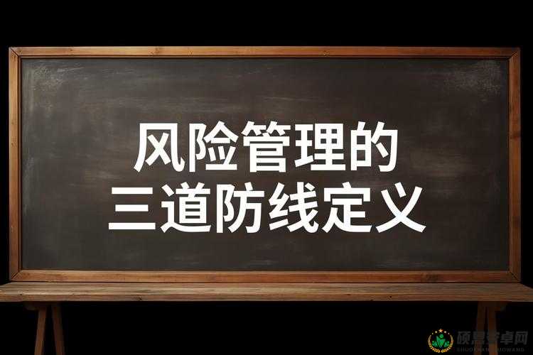 独立防线无法登陆问题的解决方案及其在资源管理中的重要性及优化策略